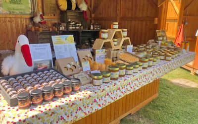 Das Storchenfest in Marchegg