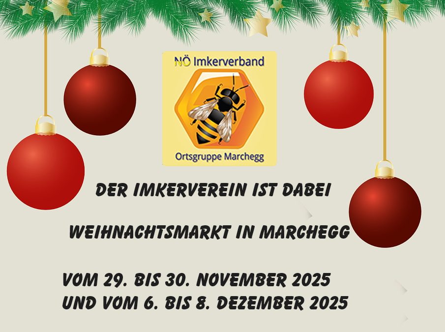 Weihnachtsmarkt im Schloß Marchegg 2025