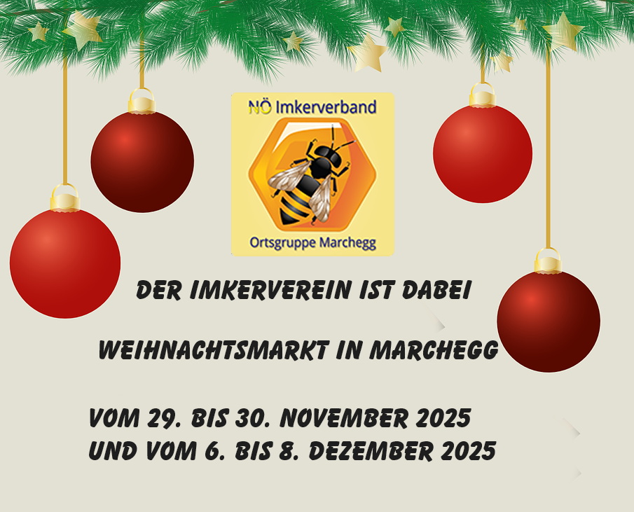 Adventmarkt im Schloß Marchegg 2025